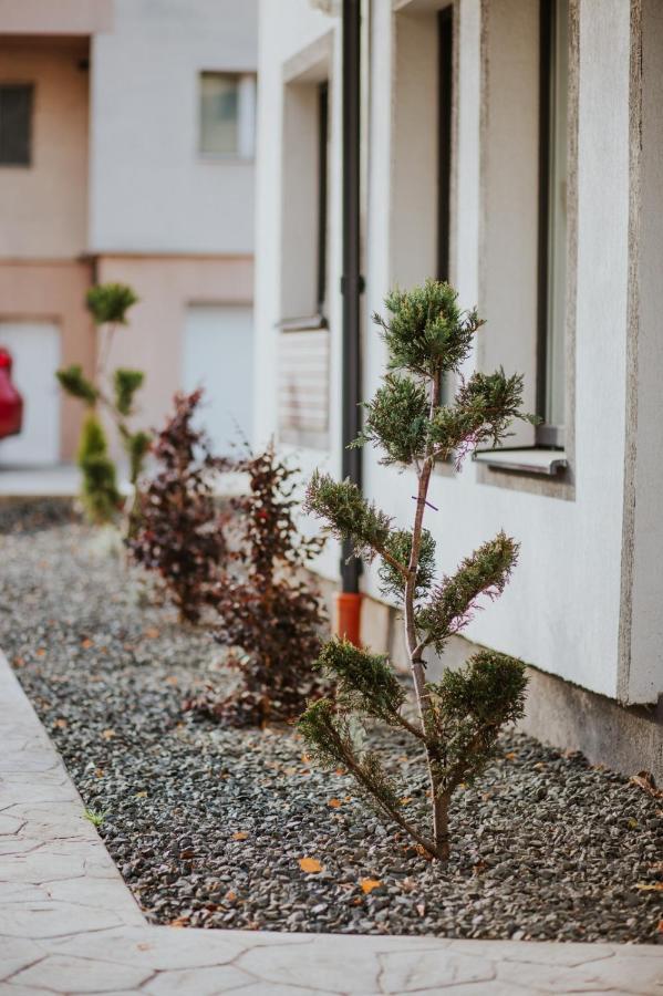 The Nook Aparthotel Timisoara Exterior foto